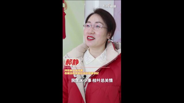 百姓看联播ⷧœ‹人物 | 社区书记的新年任务清单