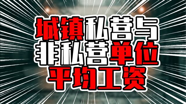 城镇私营与非私营单位平均工资,广东整体水平进入前五问题不大