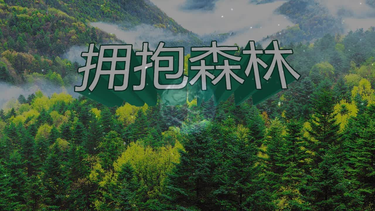 绿色中国行推广大使朱国清作品《拥抱森林》