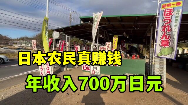 日本农民比白领工资都高?一年买菜能赚700万日元,咋做到的?