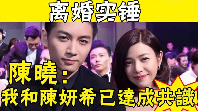 大瓜!陈晓陈研希离婚实锤!女方跟新欢互喂饭吃…陈晓7字回应引爆娱乐圈#娱圈名利场