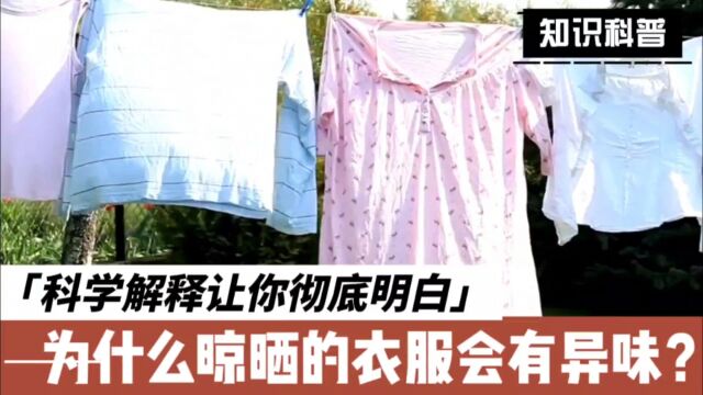 为什么晾晒的衣服会有异味?科学解释让你彻底明白