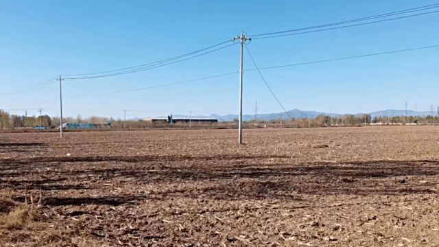 群众反映社区土地被侵占,陕西留坝县回应:已成立调查组