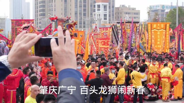 【视频+图集】老广贺春丨肇庆广宁:百头龙狮闹新春 瑞兔呈祥迎新年