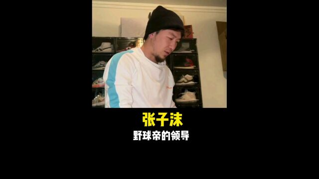 孤立老魏,pua一帆,张子沫当的什么领导?