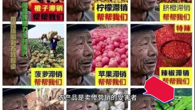 街坊农业阎文峰:农产品是卖惨营销的受害者