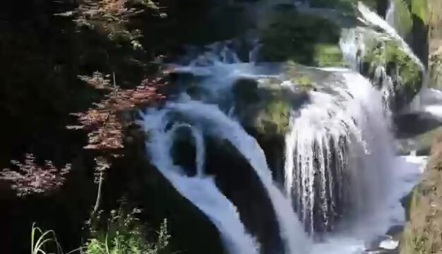 【世界湿地日】古苗河一路奔腾向前