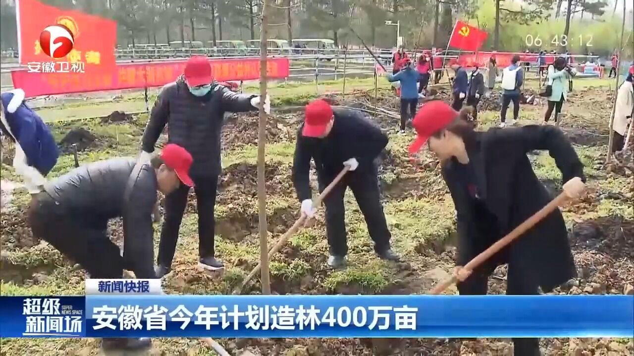 安徽省今年计划造林400万亩