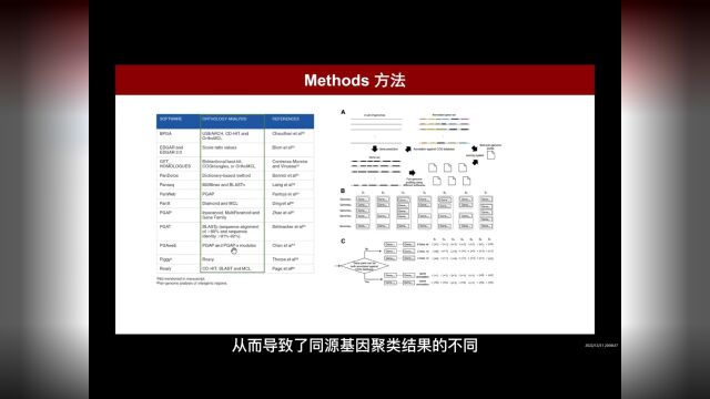 iMeta | 原核微生物泛基因组与基因组分析平台IPGA