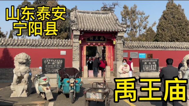 大禹治水建夏朝!实地参观山东宁阳禹王庙,还有数千年甲骨文记载