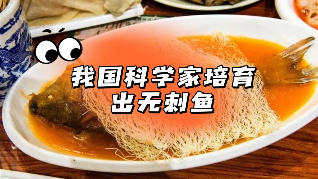 食鱼者福利:我国科学家培育出无刺鱼