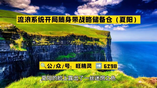 流浪系统开局随身带战略储备仓(夏阳)全文在线阅读○完结版