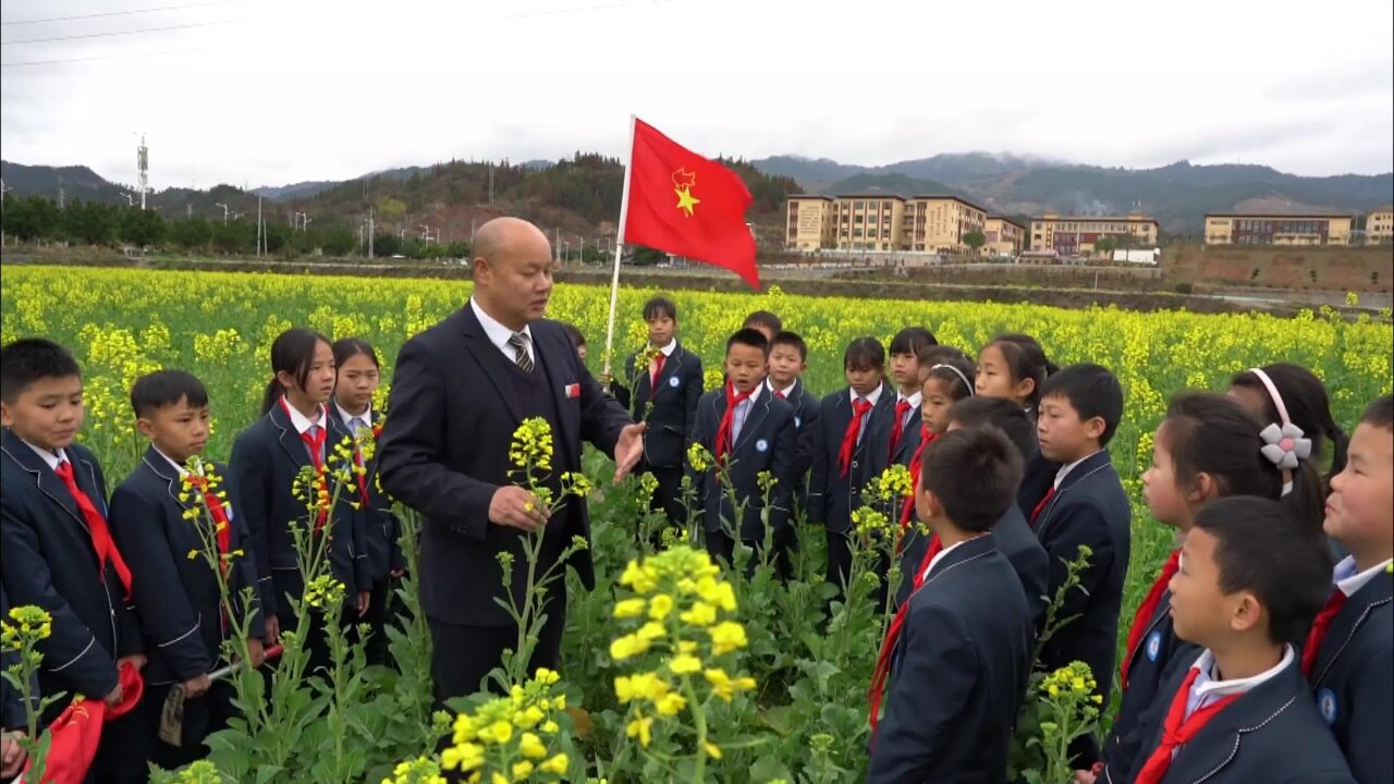 今日开学!榕江这所小学把课堂搬进田园里