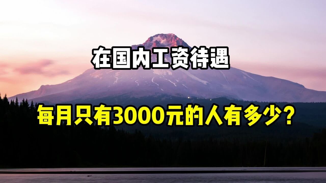 在国内工资待遇,每月只有3000元的人,有多少?