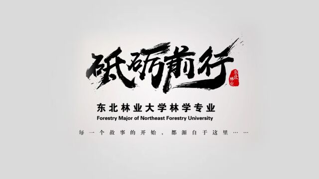 腾讯《专业的秘密》东北林业大学案例