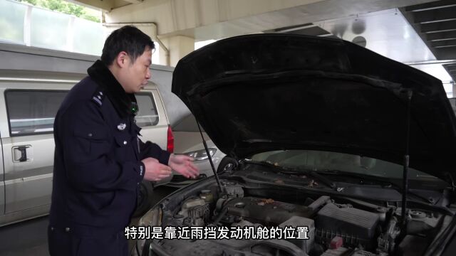 保护生命财产安全,这份汽车自燃预防指南请收好→