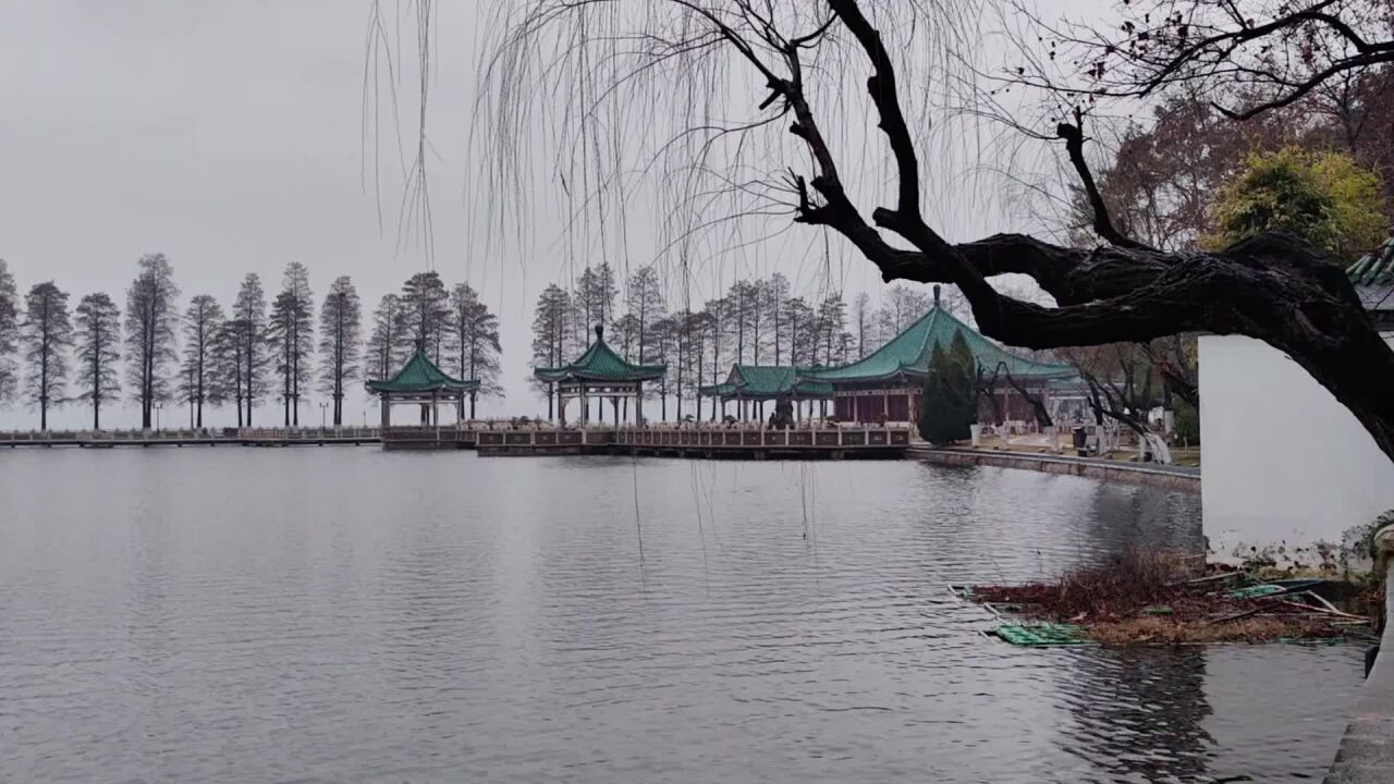 烟雨朦胧醉东湖