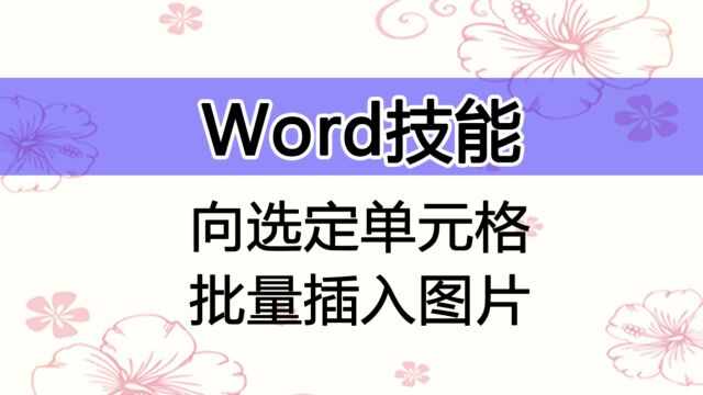 向WORD中选定的单元格批量插入图片,图片可自适应单元格大小