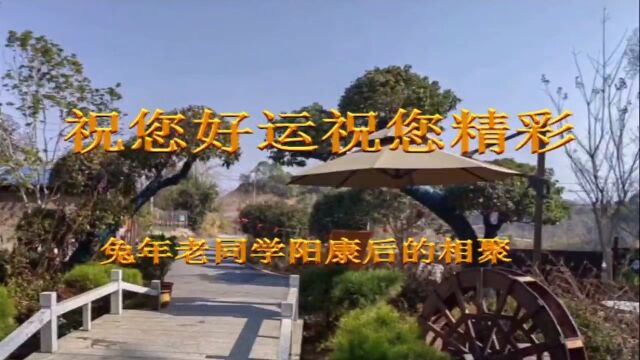 2023老同学阳康后的相聚