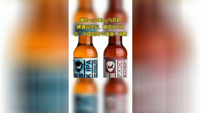 继BrewDog与百威啤酒合作后,朋克IPA将在“中国的每个角落”销售