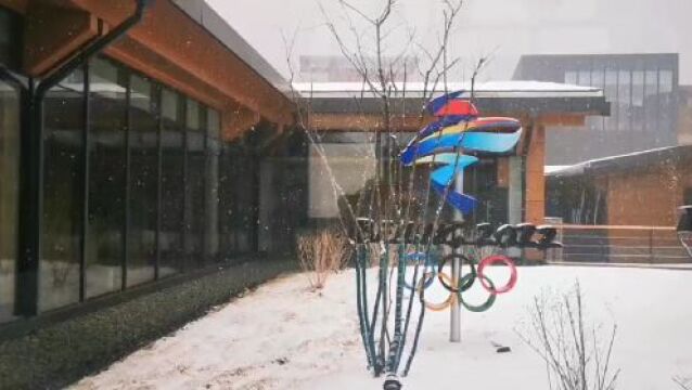 现场视频 | 上午,延庆大雪!雪片纷飞似鹅毛