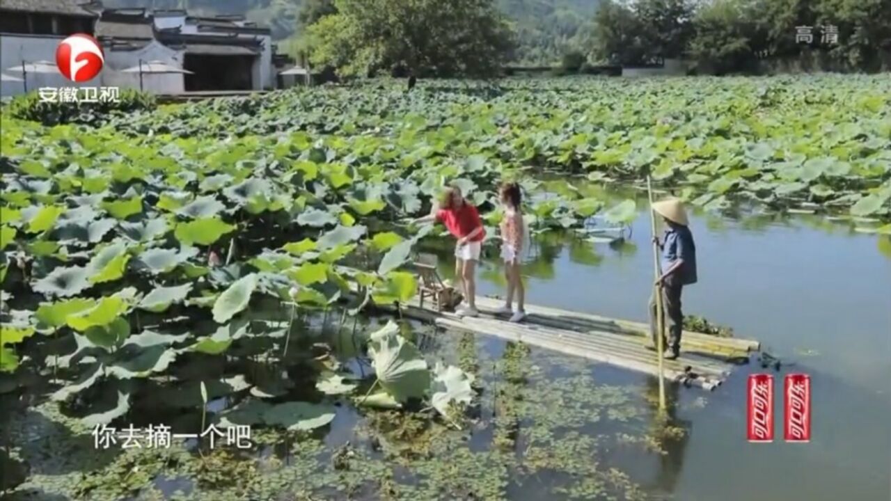 领略徽派古建筑,一人巷谦让石,处处彰显人文风韵|熙游记