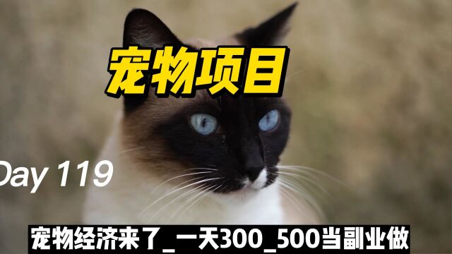 宠物经济来了一天300500当副业做