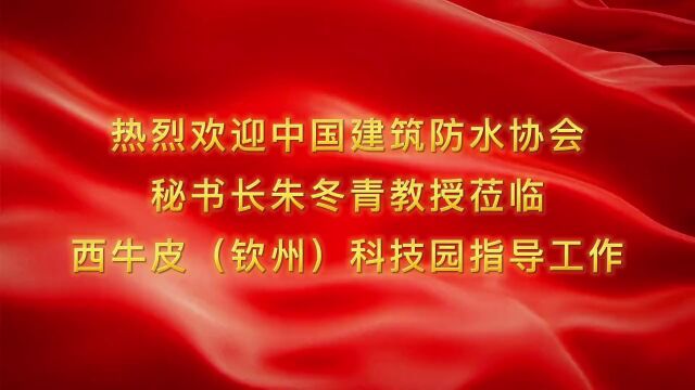 中国建筑防水协会秘书长朱冬青教授到访西牛皮防水(钦州)科技园