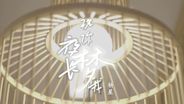 杨星演唱歌曲《祝你夜长梦我》KTV版