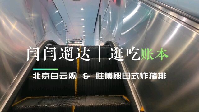 春日晒太阳,一定不要错过北京西城这座道观