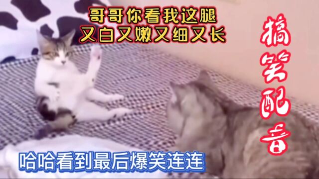 搞笑配音:哥哥你看我这腿又白又嫩,哈哈看到最后爆笑连连!