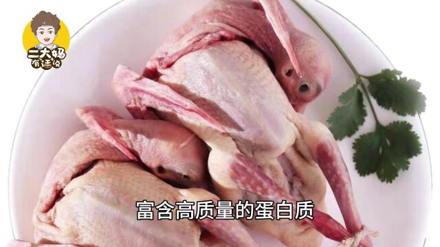 经常吃“鸽子肉”有啥用?中医:或解决4类问题,但3种人不能吃!