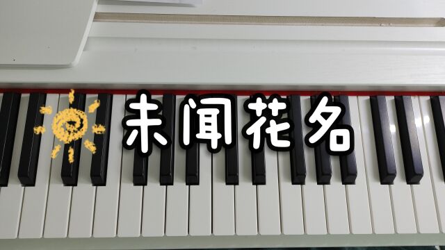 《未闻花名》动漫歌曲演奏版