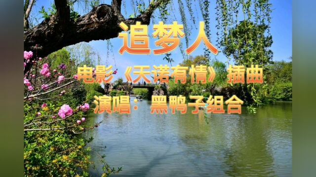 经典音乐热门流行歌曲老歌好听红歌电影插曲电影主题歌