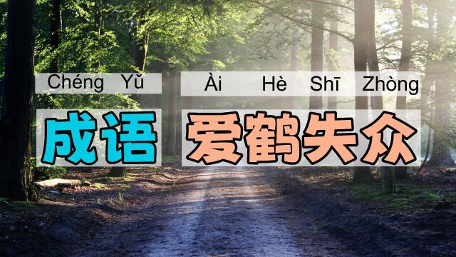 爱鹤失众|一一学语