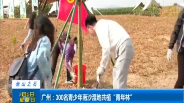 广州:300名青少年南沙湿地共植“青年林”