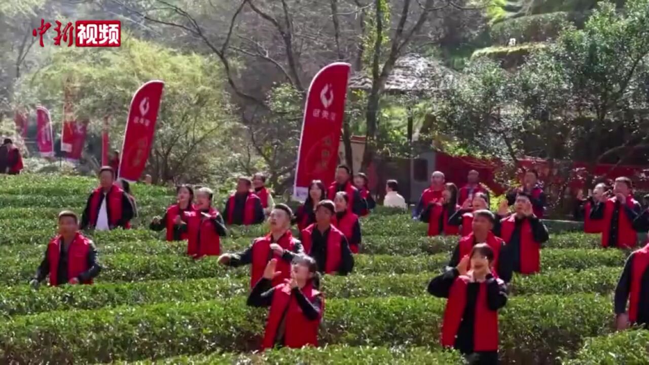 福建武夷山举行千年民俗“喊山祭茶”活动