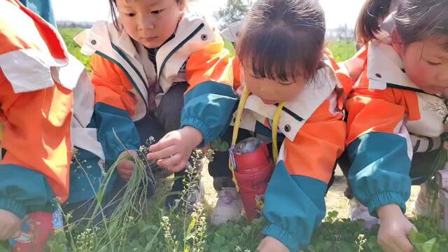 江山市上余幼儿园中二班小朋友寻找春天