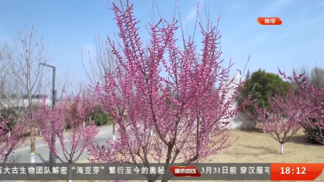 春动陕西 秦岭国家植物园百花绽放