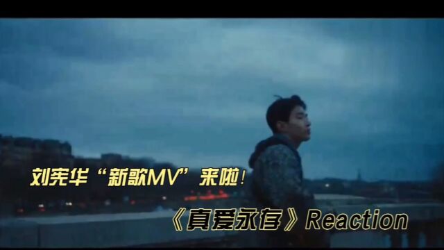 刘宪华新歌MV《真爱永存》reaction