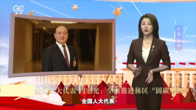 闫宏光代表:全面推进林区“固碳增汇”