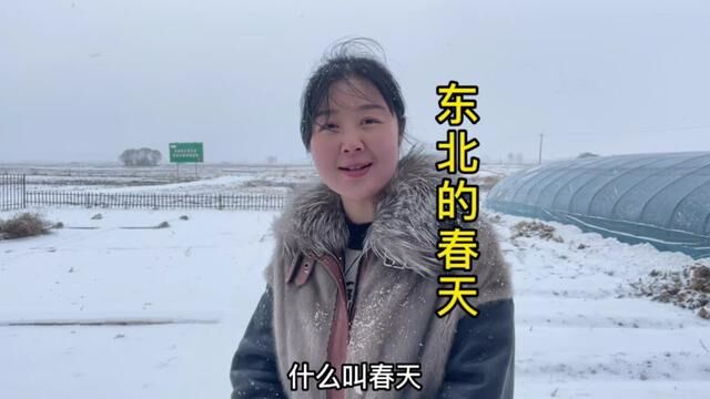 东北的春天三月份下大雪,请南方朋友看东北的春雪#三月的雪 #东北又下雪了 #请南方朋友看春天的雪