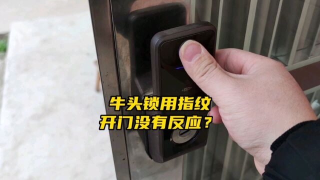 牛头锁用指纹开门,没有反应?