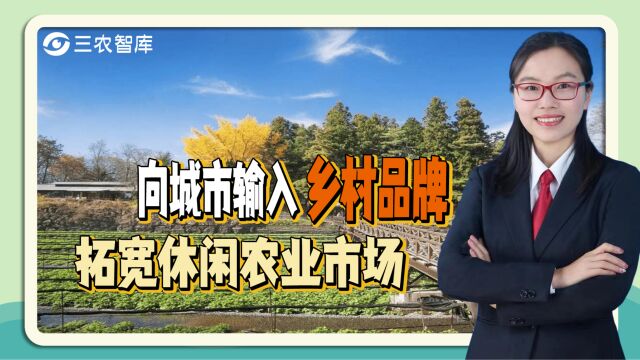 休闲农业该如何提升市场空间?高静:采用输出战略向城市输入乡村品牌