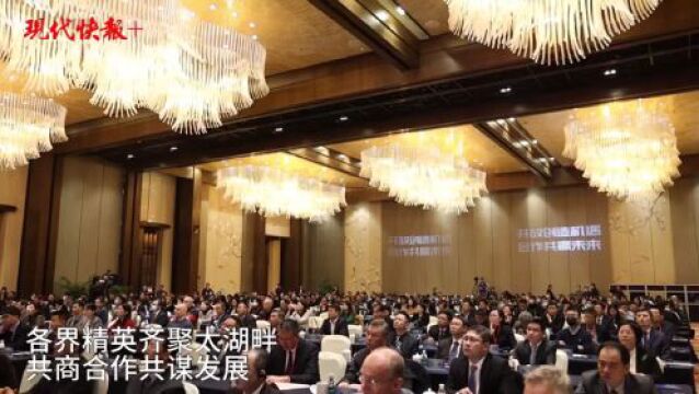 这场国际产业合作盛会上,江苏6家开放平台对外推介