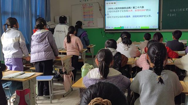 魏县回隆镇东街小学道法杨月霞