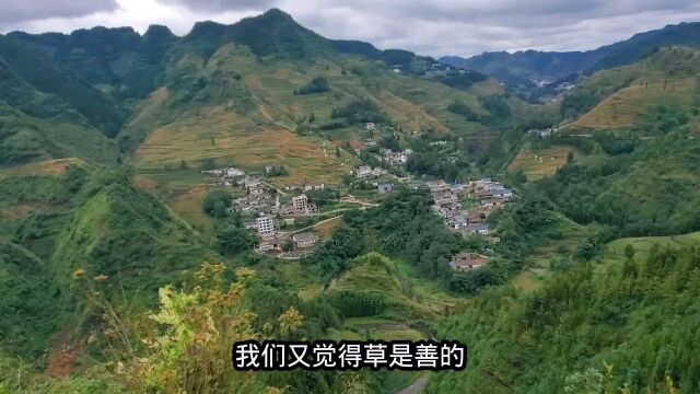 学习阳明心学有感:天地生意,花草一般 ,何曾有善恶之分