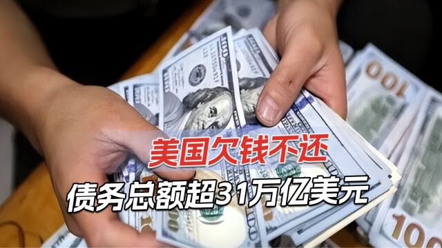 美国透支国家信用,欠债超31万亿美元,美财长提议借钱养债