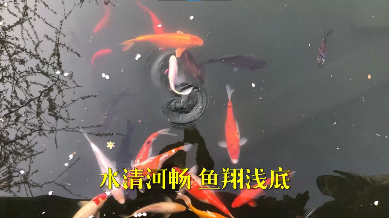 春意正浓,来打卡前门附近“小江南”