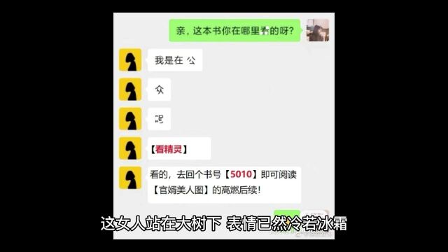 《官婿美人图》陈志远全文完结【无删减版】